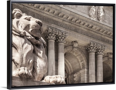 Patience Guarding the Library