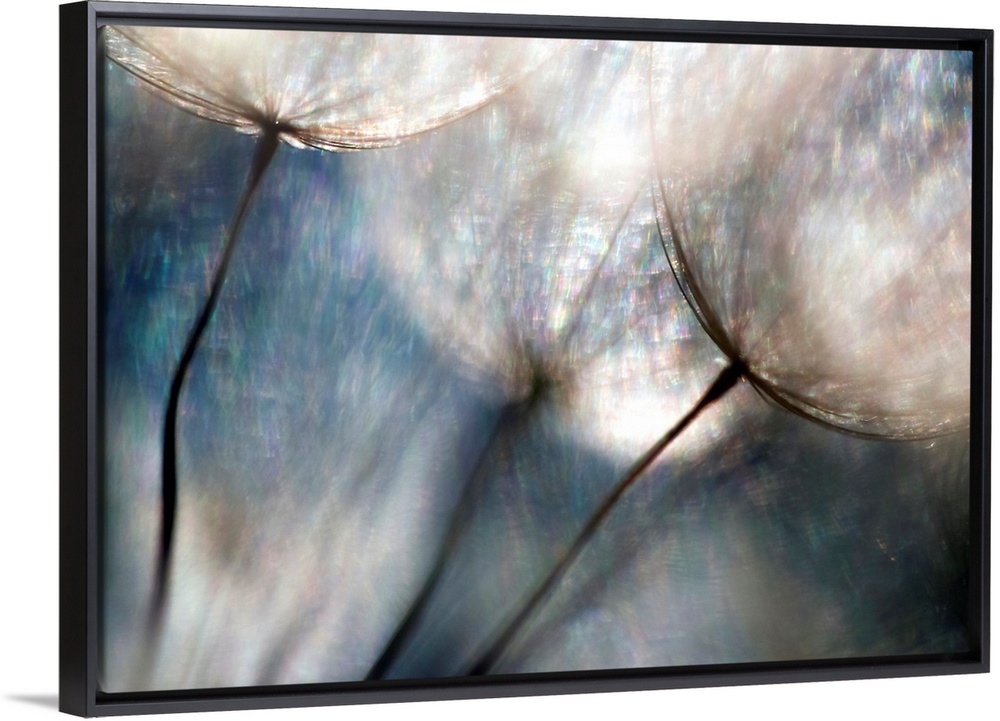 Large abstract photo shows a close-up of flowers that includes a lot of bright colors and added texture for depth.