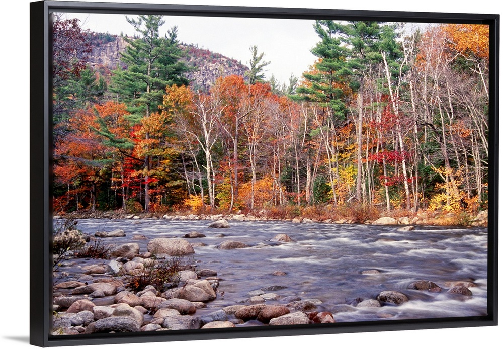 This landscape photograph shows water running rapidly through a rock filled river bed lined with autumn trees in the mount...