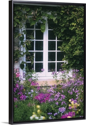 Cottage Window Surrounded By Ivy And Flowers