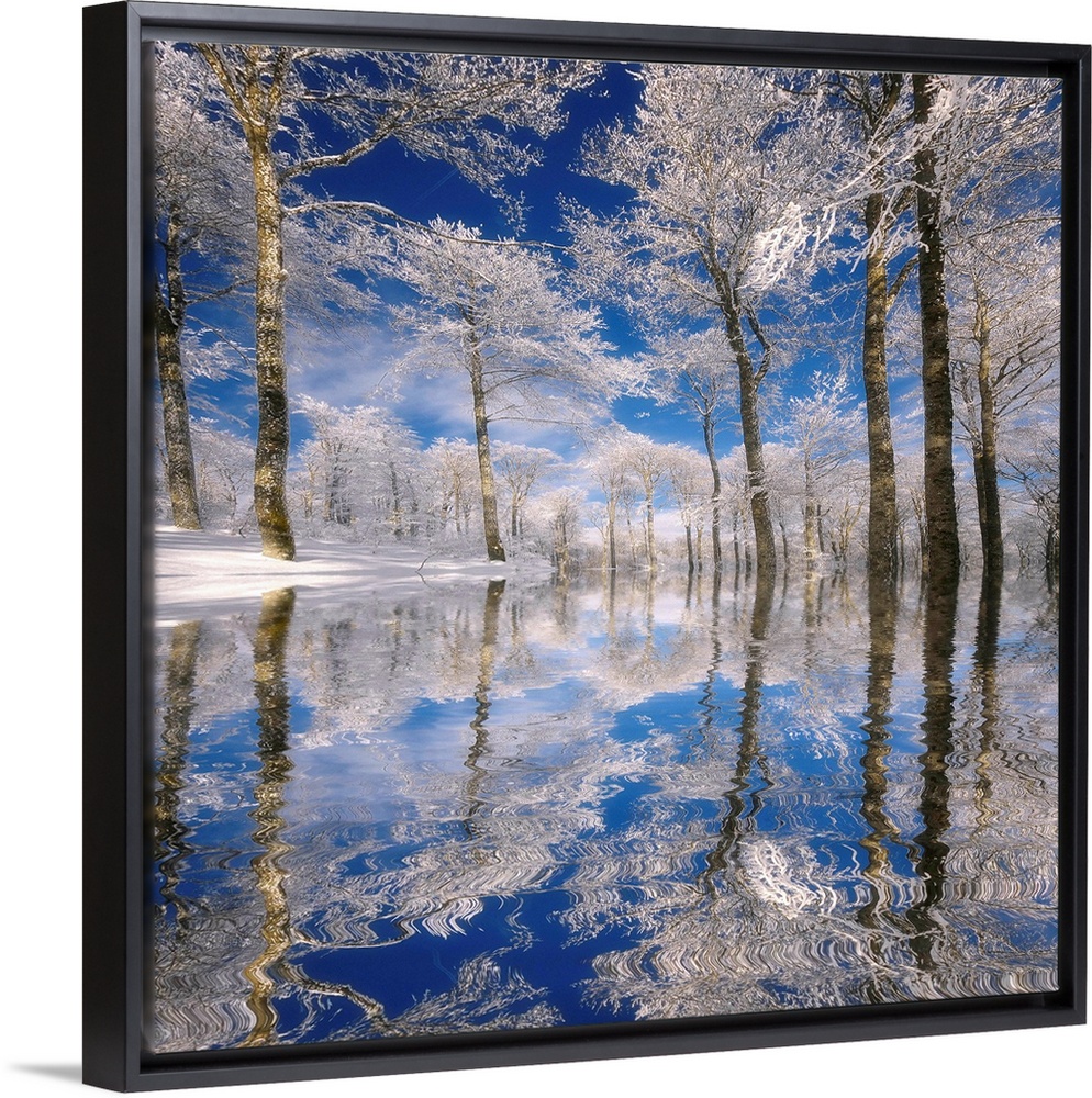 This square photograph of a frozen landscape shows ice covered trees reflecting in the rippling surface of water.