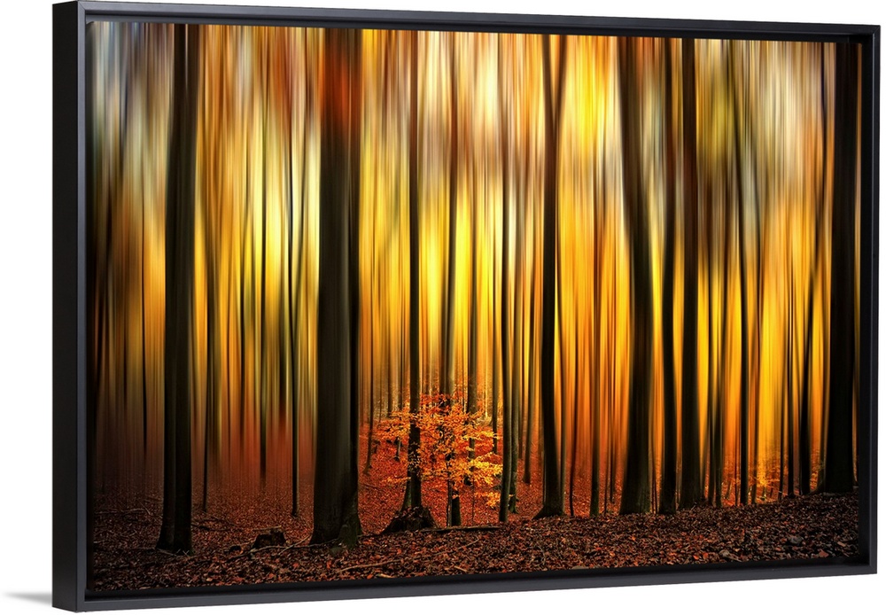 A photographic abstract of a forest in fall with dark vertical tree trunks and blurred leaves that look like flames.