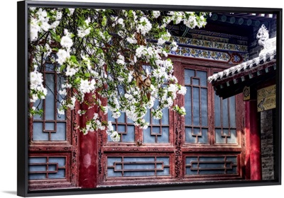 Old China Spring Impression