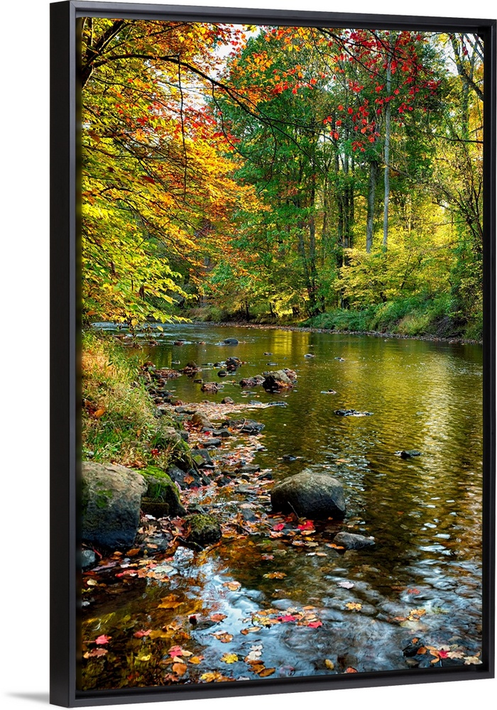 Fine art photo of a river in an autumn forest in New Jersey.