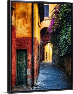 Portofino Alley