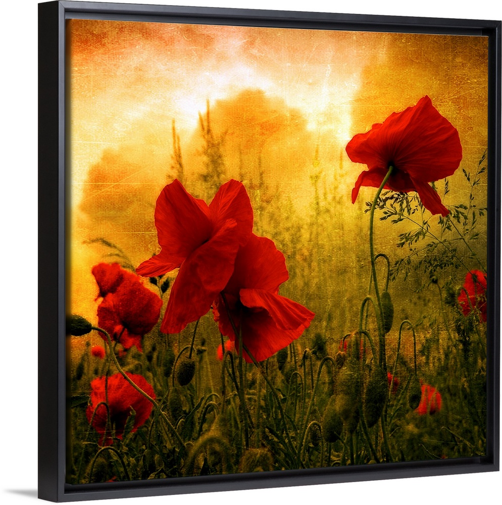 Giant square photograph composed of a close-up shot of colorful flowers near a forest.