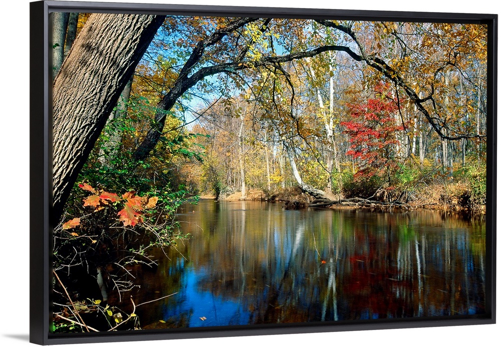 This landscape photograph is the Lamington River flowing through a forest in New Jersey in late autumn or early winter.