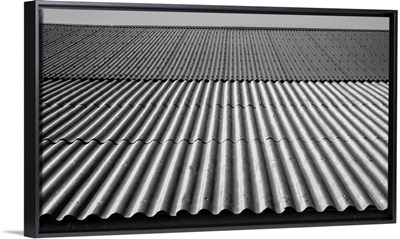 South Georgia Island Abstract