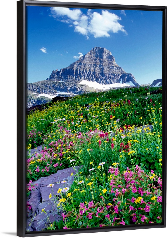 Tall canvas of beautiful wildflowers in a field in front of a rugged mountain.