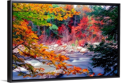 Swift River Autumn Scenic, White Mountains National Forest, New