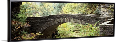 Arch bridge in a forest Robert H. Treman State Park Ithaca Tompkins County Finger Lakes New York State