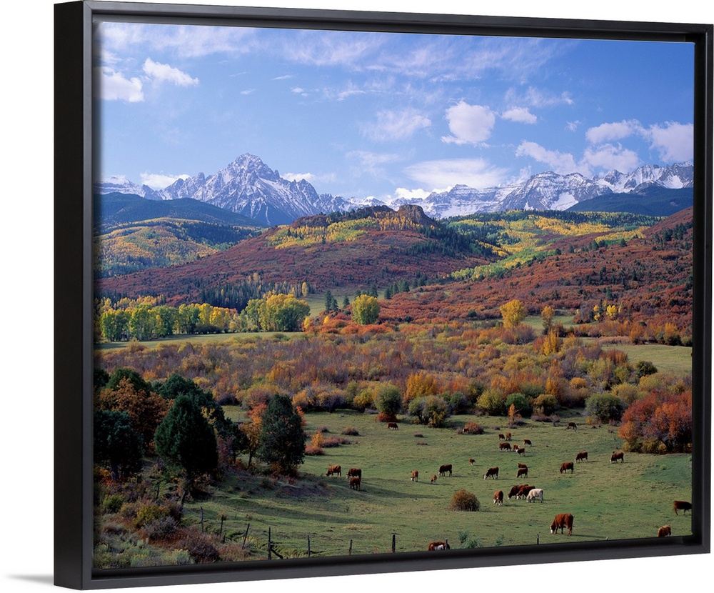 Amazing landscape photograph of farmland, forest, and snowcapped mountains in the Rockies.