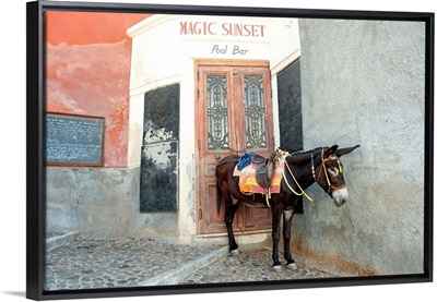 Donkey standing on a street, Fira, Santorini, Cyclades Islands, Greece
