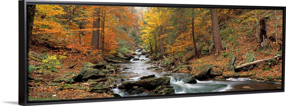This panoramic wall hanging is a photograph that shows the view up a boulder filled stream in an autumn forest.