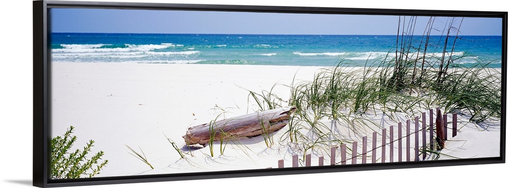 Oversized landscape photograph of a fence running through grasses on the beach, in front of the rippling waters of the Gul...