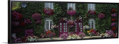 Flowers Breton Home Brittany France