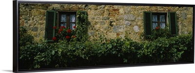 Flowers on a window, Monteriggioni, Tuscany, Italy