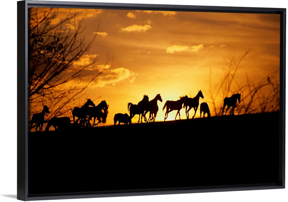 Large wall art of the silhouettes of horses running contrasted against a warm sunset.
