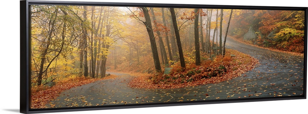 A big panoramic wall hanging of a winding road through a New England forest in autumn.