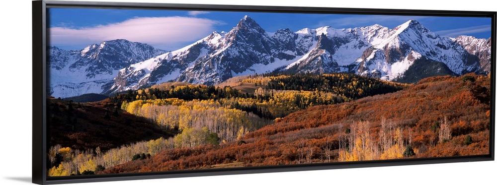 Giant landscape photograph of a golden brown Colorado valley in front of snow covered mountains under a blue sky.