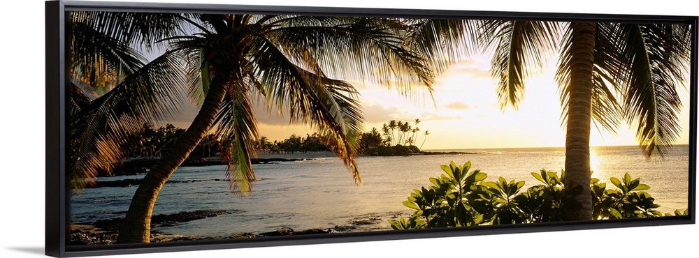 Panoramic wall art photo for the office or home of the Hawaiian coast; palm trees frame the sun setting over the ocean wit...