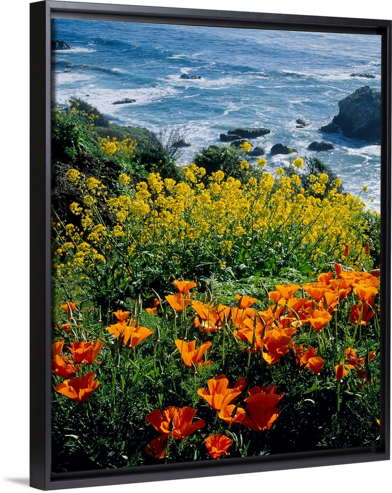 Vertical photograph of florals growing on the top of a cliff overlooking the sea.