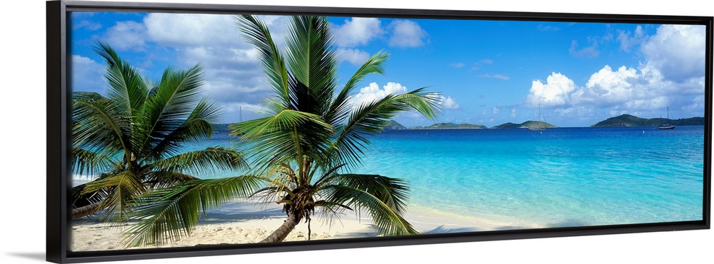 A panoramic photograph of a couple palm trees sitting on the Salomon Beach in the Virgin Islands.  The mountains in the ba...