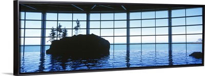 Shedd Aquarium Chicago IL