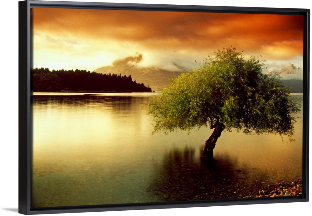 A lone tree growing out of a lake during a dramatic sunset. This big landscape canvas has dark shadows and vividly colored...