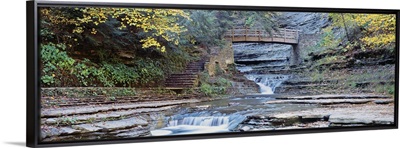 Stony Brook Glen Stony Brook State Park Dansville NY