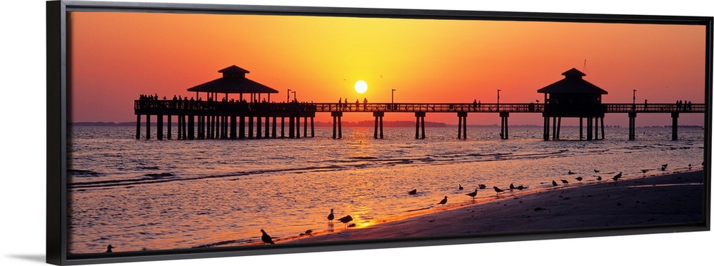 Pier and board walk with shore birds gathered in the foreground as the sun sinks in the sky.