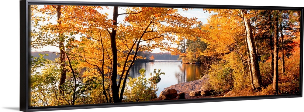 Fall foliage frames a panoramic landscape of a lake with calm smooth water.