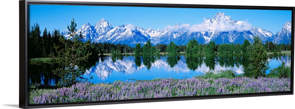 This panoramic landscape photograph shows wildflowers growing around a lake that reflects the trees and snowcapped mountai...