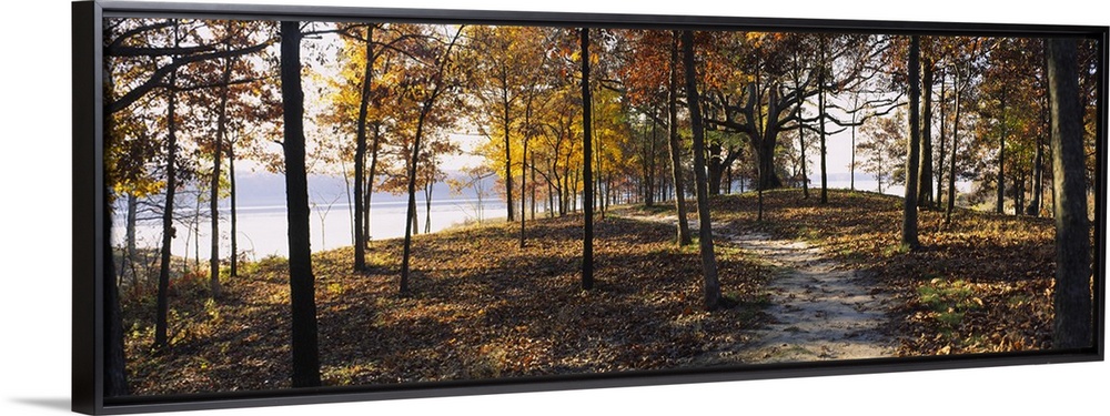 Panoramic photograph of dirt trail winding through an autumn forest with river in the distance.