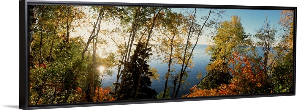 This vertical photograph shows leaves starting to show their autumn colors on trees growing around a body of water on a pa...