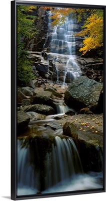 Waterfall in a forest, Arethusa Falls, Crawford Notch State Park, New Hampshire, New England