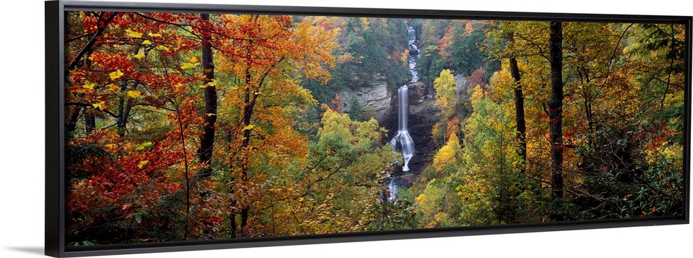 This panoramic wall art is a photograph of a waterfall cascading down a sheet rock face in an autumn forest in the Appalac...