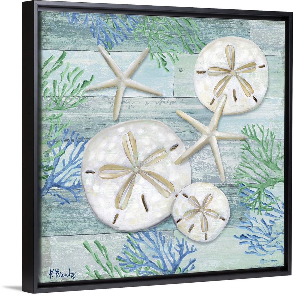 Square sand dollar, starfish and coral decor in light blue, green, and white.
