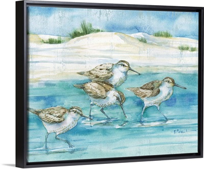 Sandy Sandpipers I