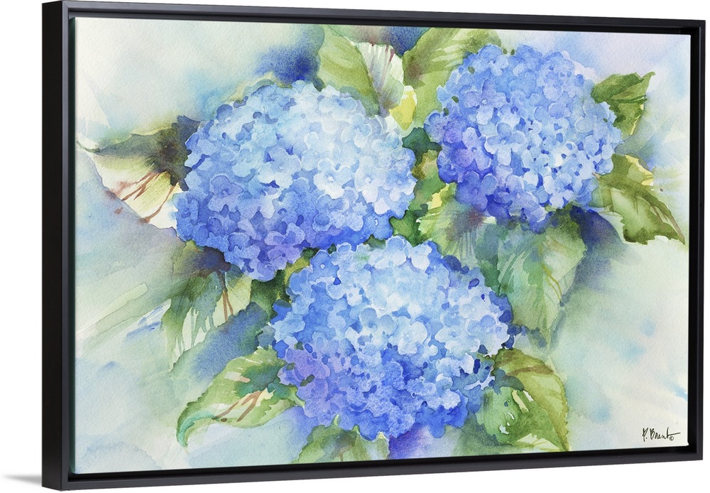 Large watercolor painting of blue hydrangeas.