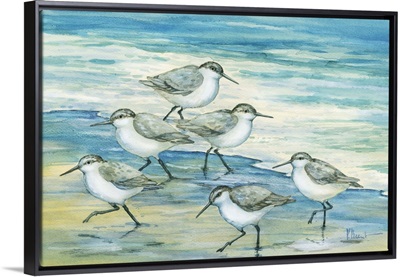 Surfside Sandpipers