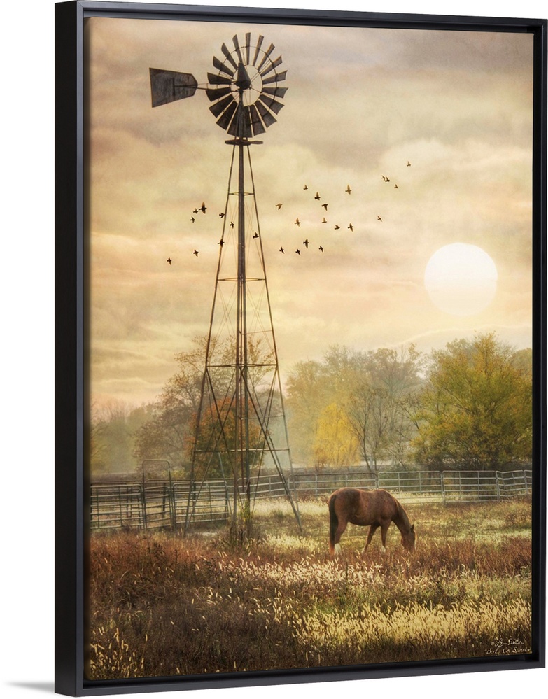 Horse grazing in a field beside a windmill at sunrise.