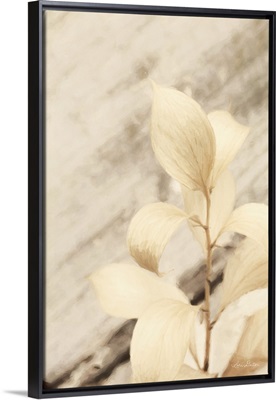 Golden Leaves