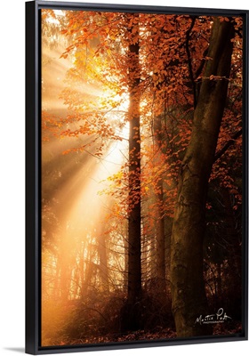 The Best of Autumn