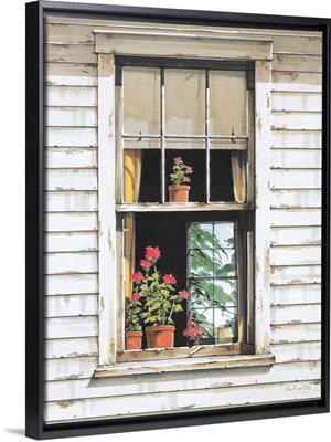 Window Geraniums