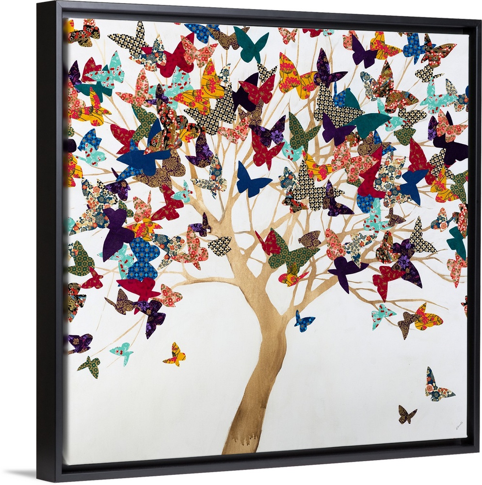 A Butterflys Journey