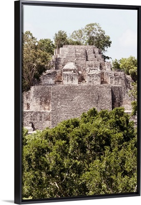Ancient Maya City within the jungle of Calakmul IV