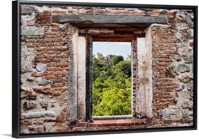 Calakmul in the Mexican Jungle