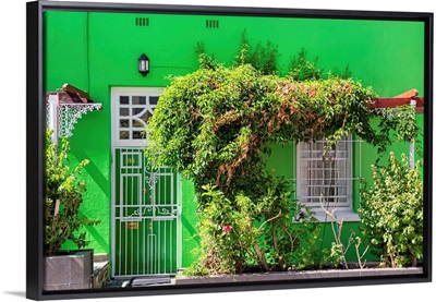 Green House - Cape Town