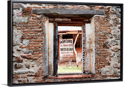 Manufacturer of Mexican Carpets